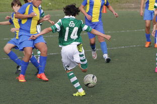 开云网页版-女篮亚洲杯中国队力压日本夺冠，亚洲杯女子篮球赛中国对日本