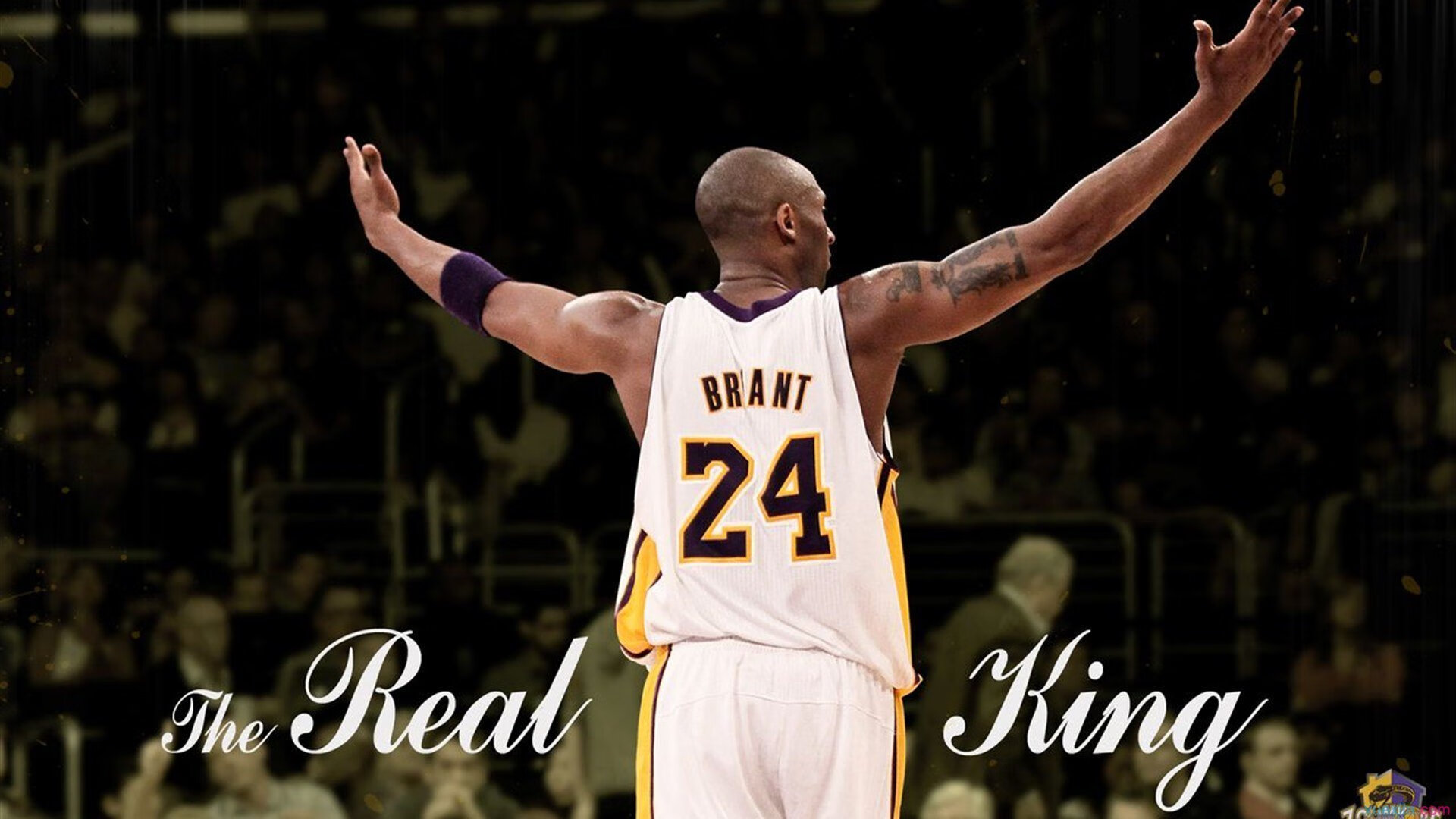 开云官网APP下载-技术细节优化助力比赛节奏控制